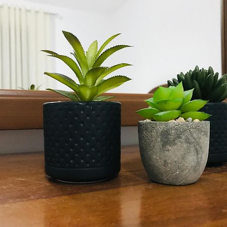 Koli Apartament Berat Bagian luar foto